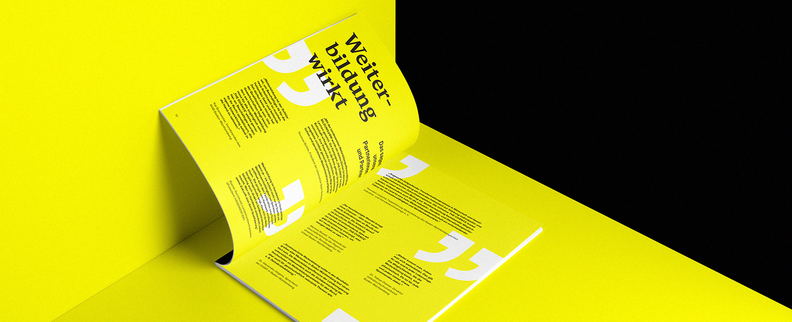 Infografik von Interviews für Baden-Württemberg