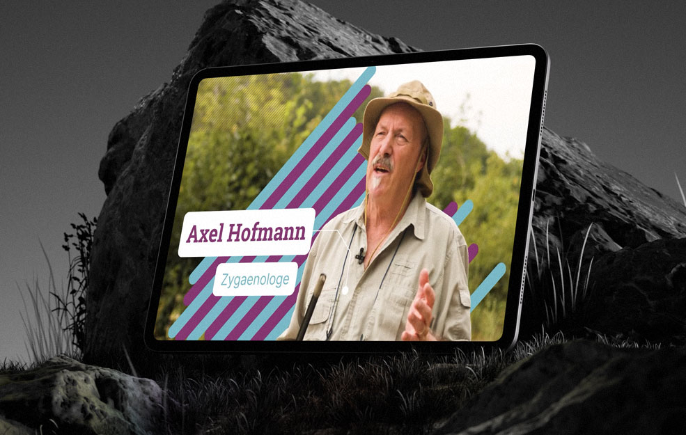 Ausgesummt! Insekten in der Krise.